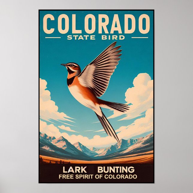 Poster Pássaro do Estado do Colorado - Lark Bunting Vinta (Frente)