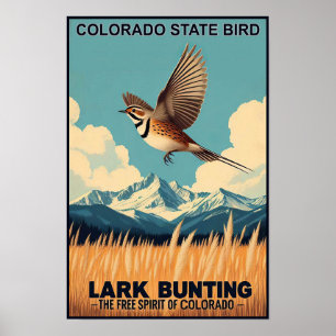 Poster Pássaro do Estado do Colorado - Lark Bunting Vinta