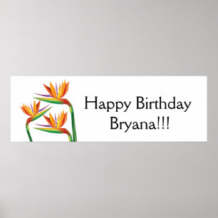 Pôster Pássaro do Paraíso Bandeira Tropical