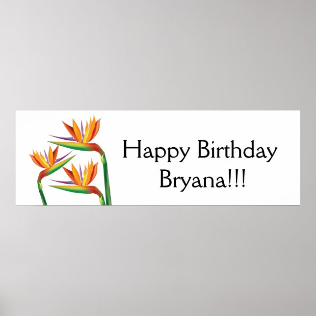 Pôster Pássaro do Paraíso Bandeira Tropical (Frente)