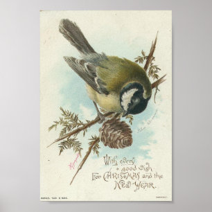 Poster Pássaro do vintage e Pinecone, Natal