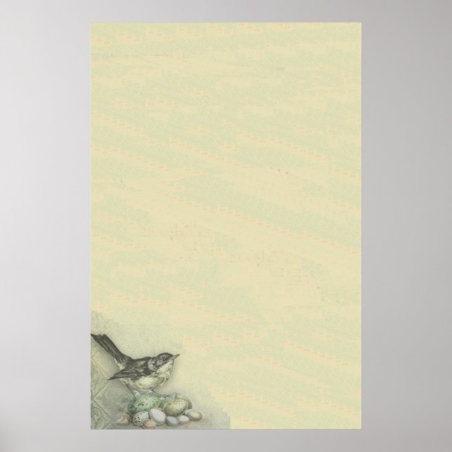 Poster Pássaro e Ovos (Frente)