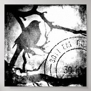 Poster Pássaro em um galho, preto e branco