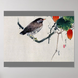 Poster Pássaro em um Ramo Trichosanthes, Watanabe Seitei
