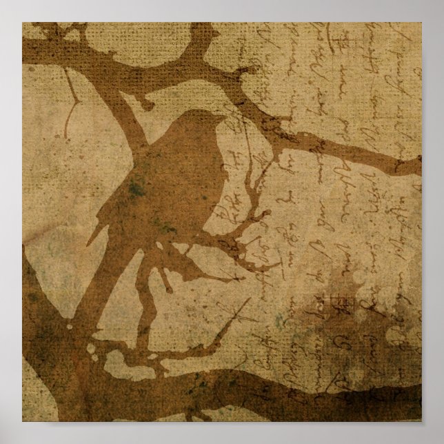 Pôster Pássaro em Uma Ramificação (Frente)