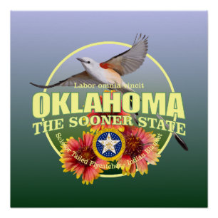 Pôster Pássaro & flor de estado de Oklahoma