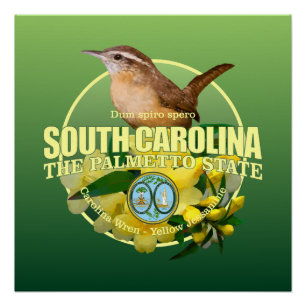 Pôster Pássaro & flor de estado de South Carolina