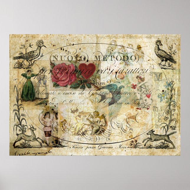 Poster Pássaro na Mão (Frente)