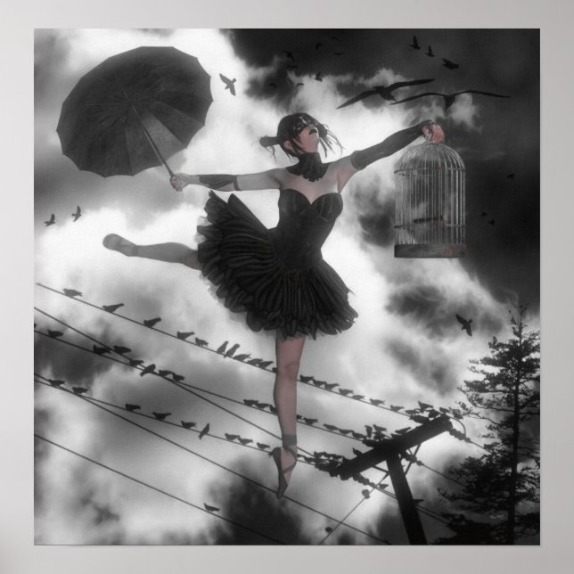 Poster Pássaro Negro (Frente)