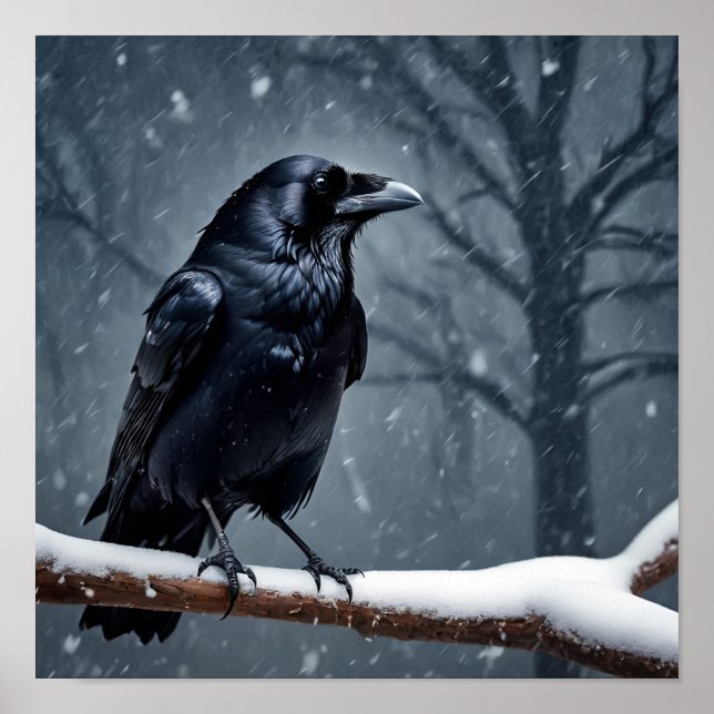 Poster Pássaro Negro Escuro (Frente)