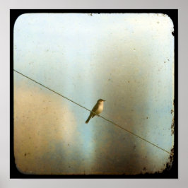 Pôster Pássaro num fio