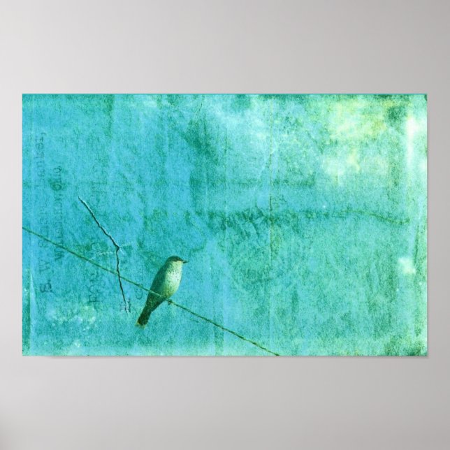 Pôster Pássaro num fio (Frente)