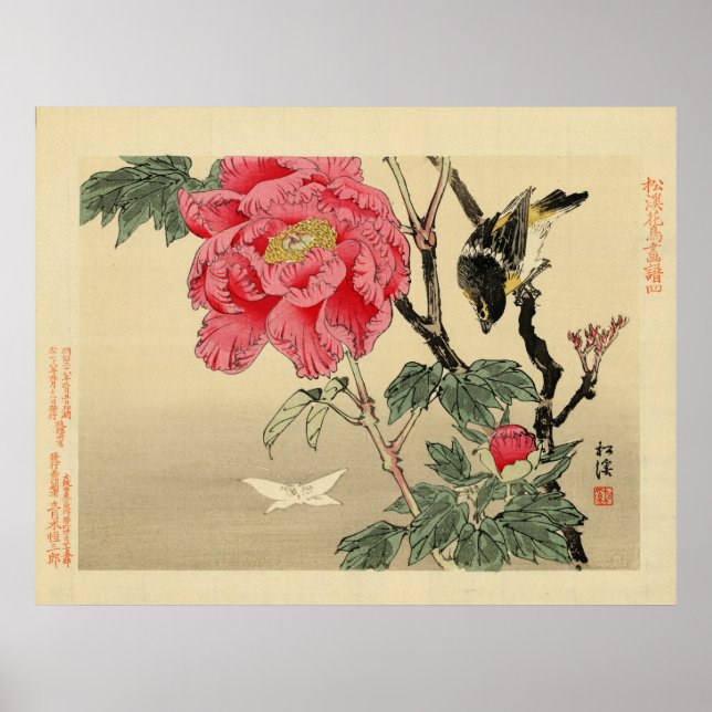 Pôster Pássaro observando uma borboleta (Frente)