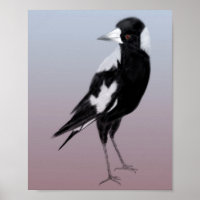 Pássaro pássaro-branco-preto