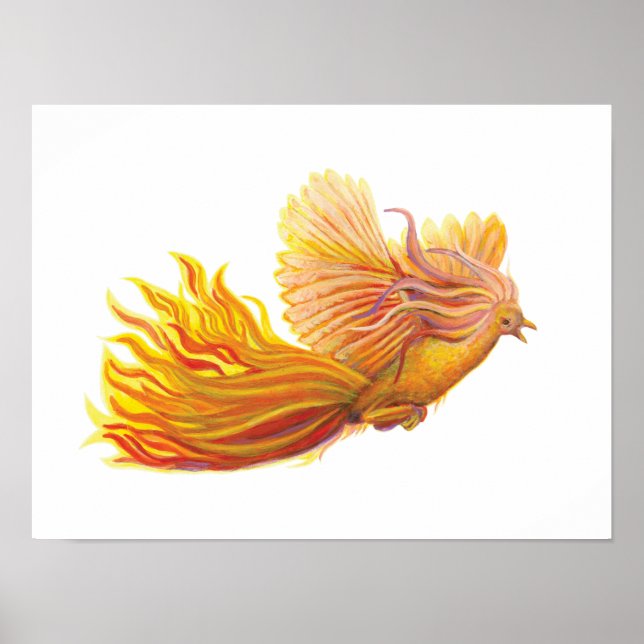 Poster Pássaro Phoenix Legendário (Frente)