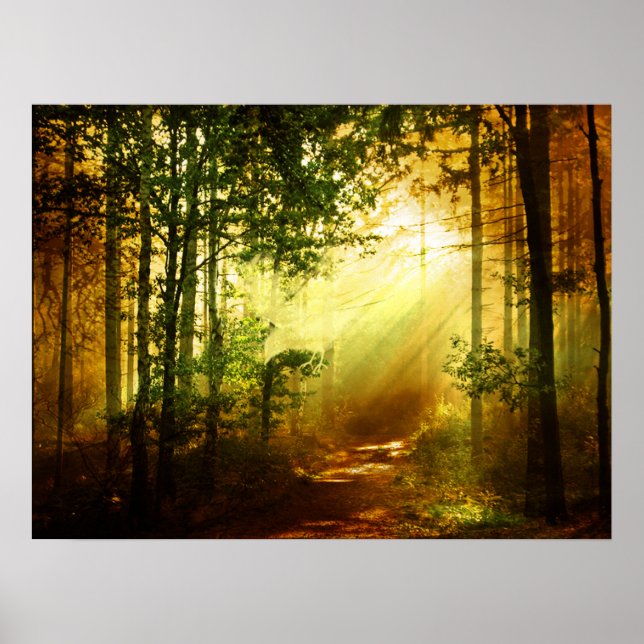 Pôster Pássaro sol (Frente)