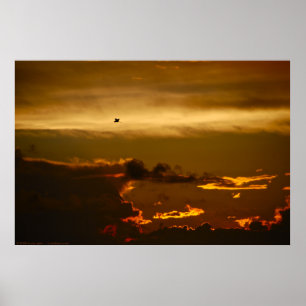 Pôster Pássaro solitário em um céu de Firey (poster)