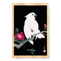 pássaro tropical branco-papagaio-do-japonês legal