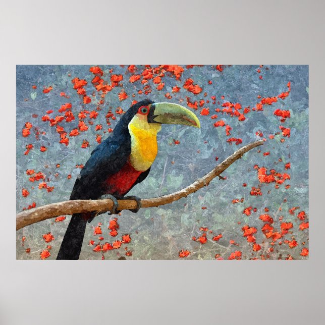 Poster Pássaro Tropical Toucan (Frente)