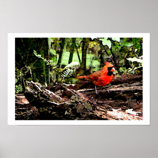 PÔSTER PÁSSARO VERMELHO