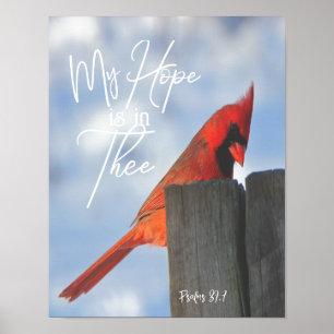 Poster Pássaro Vermelho com Salms Hope Bíblia Versa