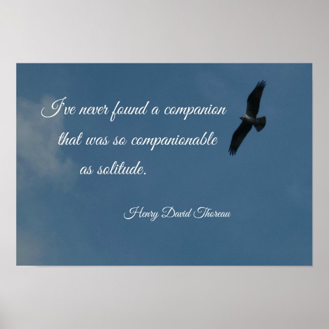 Pôster Pássaro voando alto com uma citação sobre solidão. (Frente)