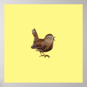 Poster Pássaro Wren (Troglodytes Troglodytes)