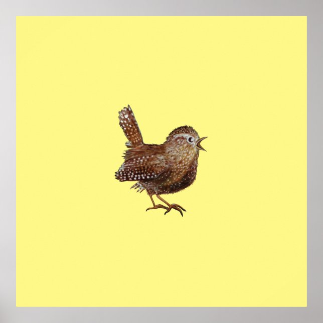 Poster Pássaro Wren (Troglodytes Troglodytes) (Frente)