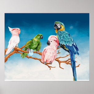 Poster Pássaros Aquarela Papanicolau Macaw Cockatoo Parak