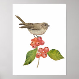 Poster Pássaros aquarela "Sylvia curruca"