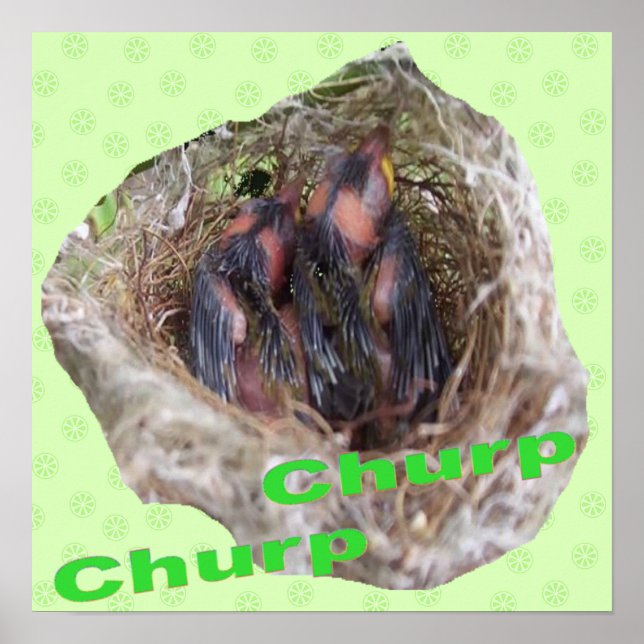 Poster Pássaros Bebês (Frente)
