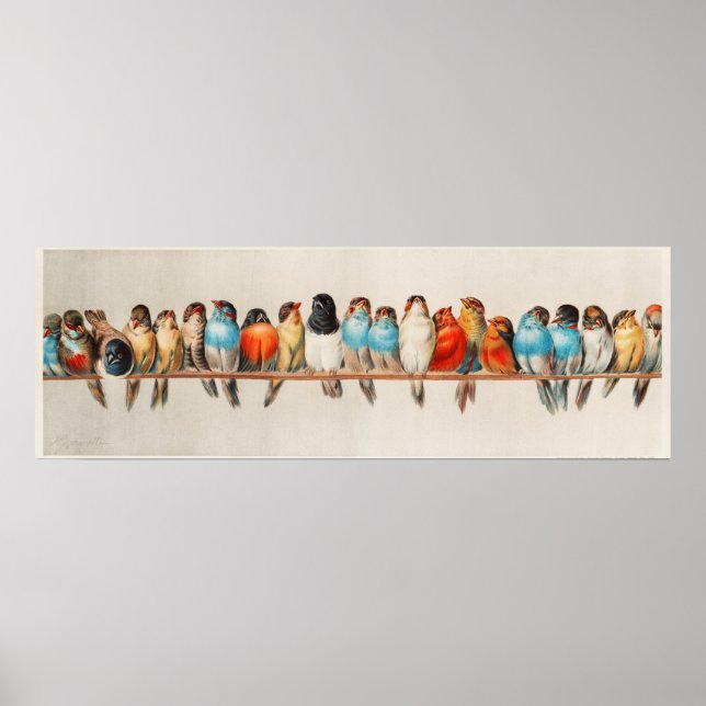 Poster Pássaros Bons (Frente)