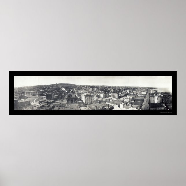 Pôster Pássaros de Duluth MN Foto 1914 (Frente)