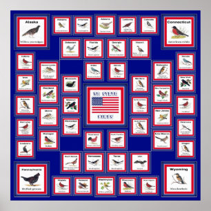 PÔSTER PÁSSAROS DE ESTADO BLUE/552 DOS EUA 50