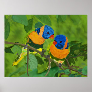 Pôster Pássaros de paraíso