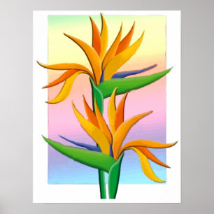 Poster Pássaros de paraíso com fundo Pastel do arco-ír