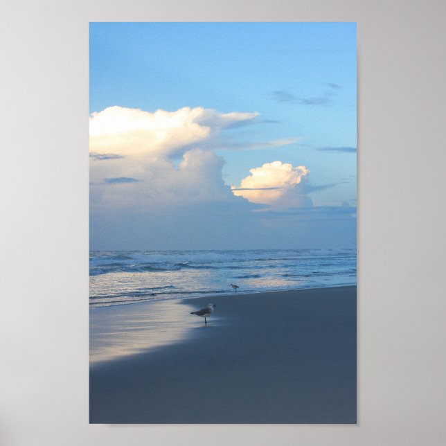 Poster Pássaros de praia no amanhecer 2 (Frente)