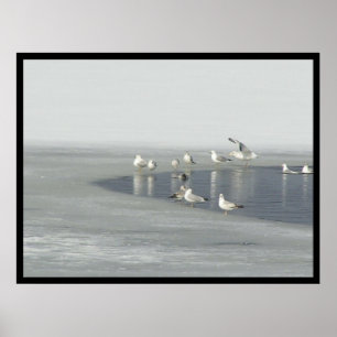 Pôster Pássaros do inverno