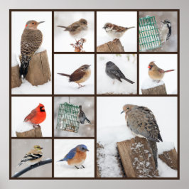 Pôster Pássaros do quintal na neve