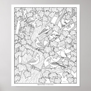 Poster Pássaros e Árvore de Mapeamento Coloração de Adult
