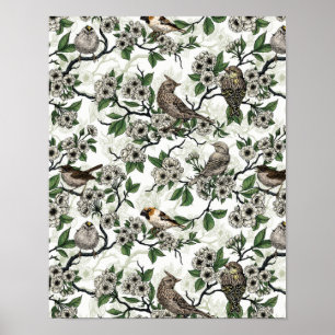 Poster Pássaros e flor de cerejeira em branco