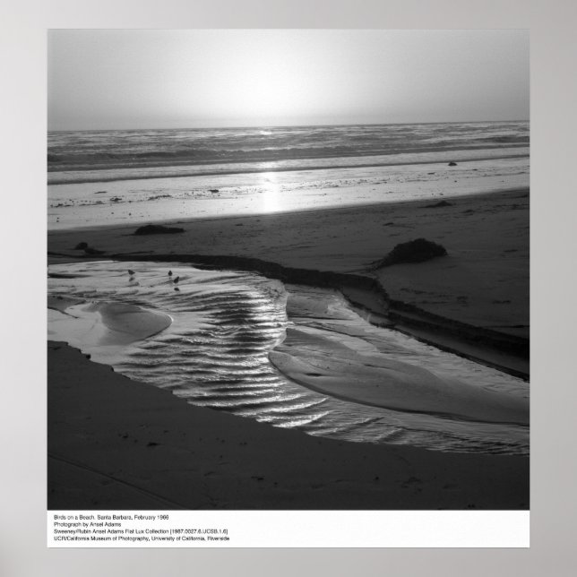 Poster Pássaros em uma praia, Papais noeis Barbara, 1966 (Frente)