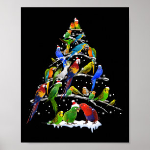 Poster Pássaros Engraçados com Árvore de Natal Ave Amante