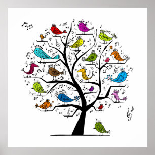 Poster Pássaros Musical