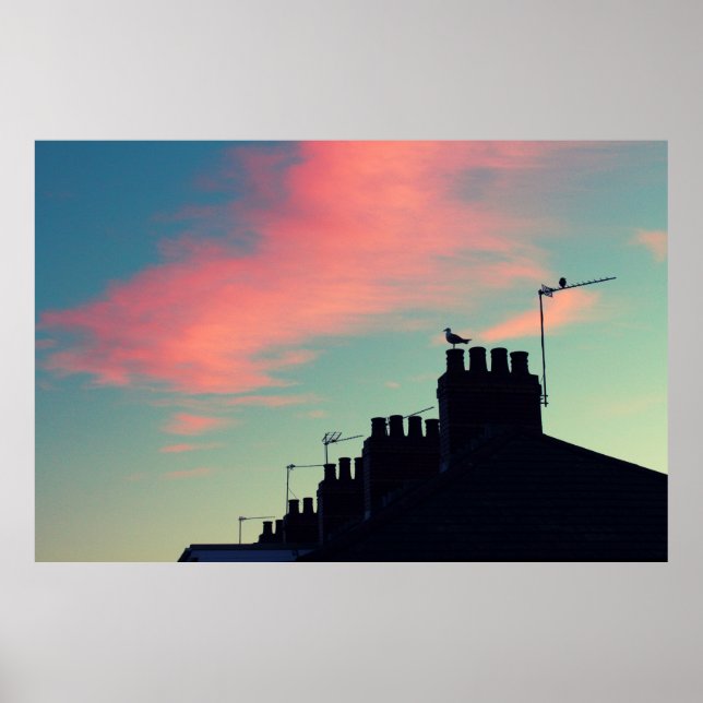 Pôster Pássaros primitivos (Frente)