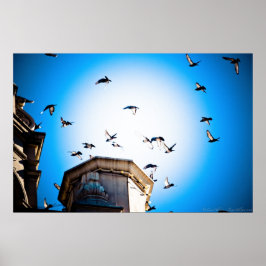 Pôster Pássaros Sobre Torres Gótica