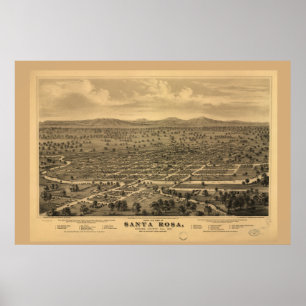 Poster Pássaros Visão Papais noeis Rosa