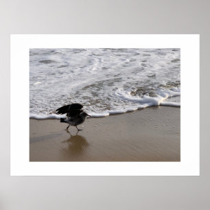 Poster Passear pela Waves California Color Photoographic