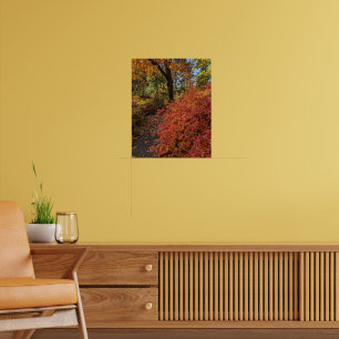 Poster Passeie por um Jardim Botânico de Cores de Outono