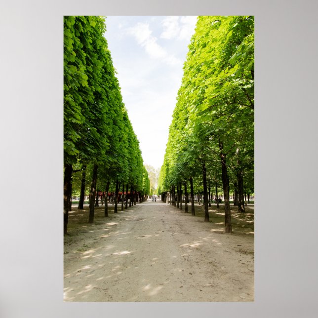 Poster Passeio arborizado (Frente)